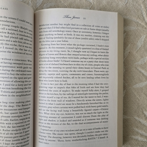 Three Junes By Julia Glass National Bestseller Paperback Book - Picture 8 of 9